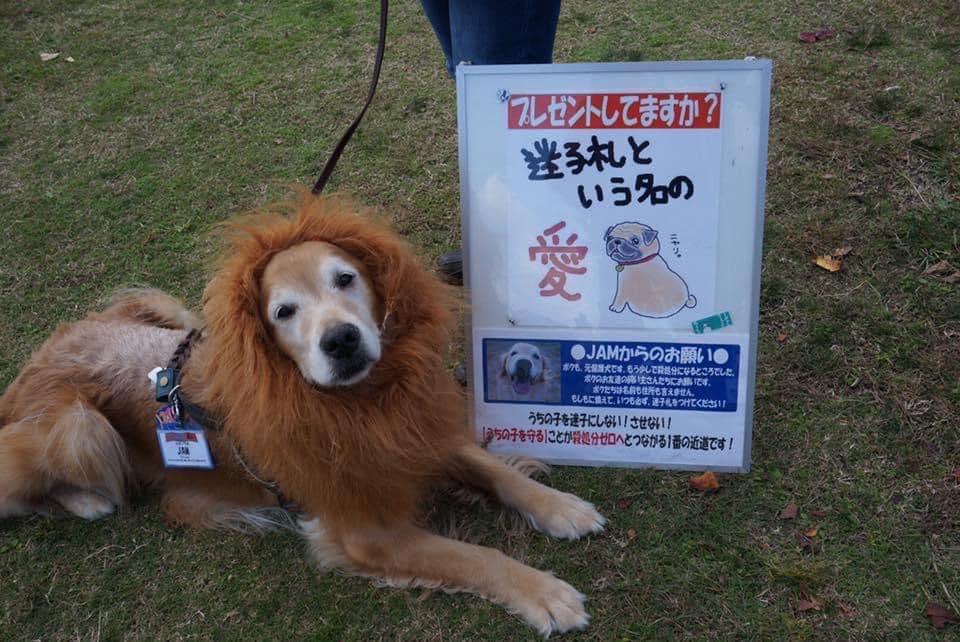 どうぶつ愛護フェスティバルinふくおか