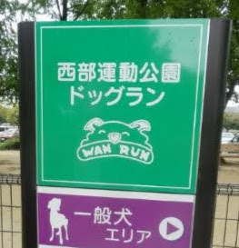 福岡市西部運動公園ドッグランクラブ