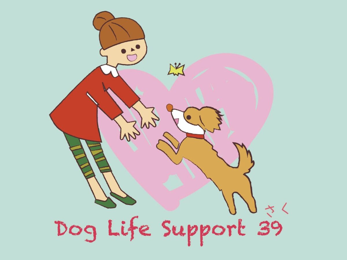 Dog Life Support39
