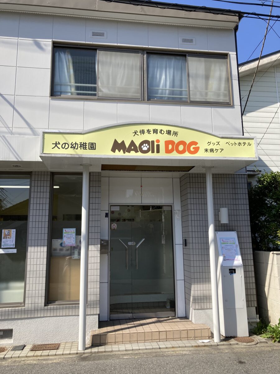 MAOli DOG