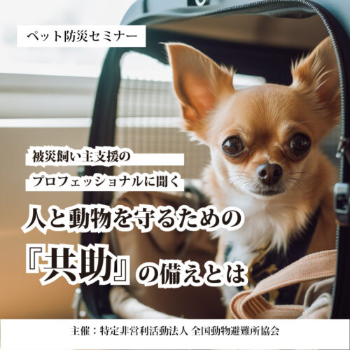 10月9日(水) ペット防災セミナー「被災飼い主支援のプロフェッショナルに聴く。人と動物を守るための『共助』の備えとは」