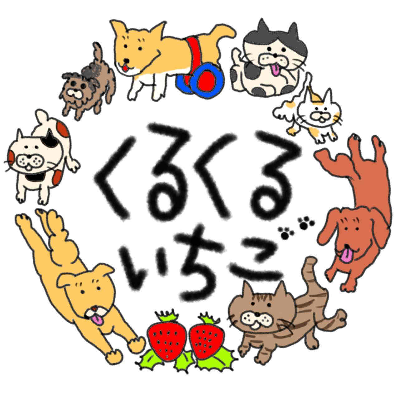 鹿児島県動物愛護団体くるくるいちご