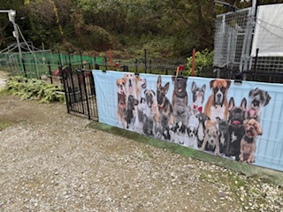 ワンダフルライフ