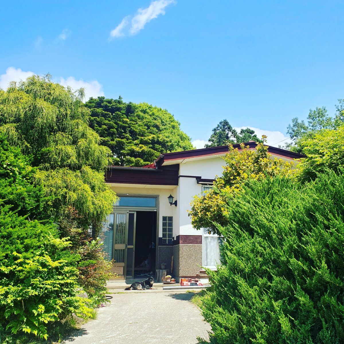 Ayukawahouse & ニジノハシ わんこのみとり