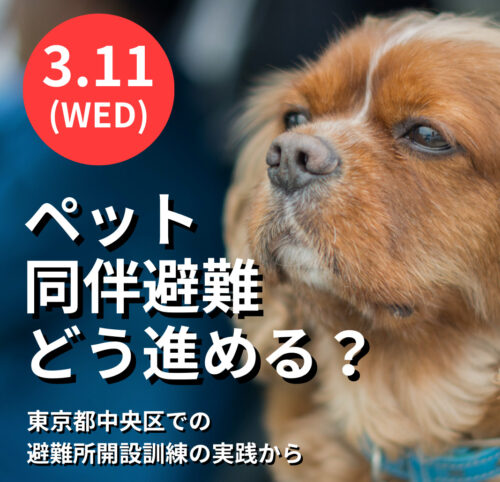 3月11日(水) ペット防災セミナー「ペット同伴避難、どう進める？ 東京都中央区での避難所開設訓練の実践から」
