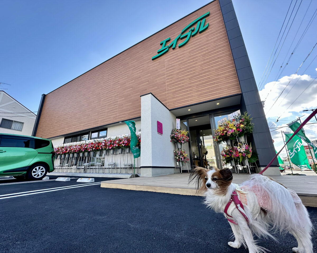 エイブルネットワーク浜松本店 住まいLOVE不動産株式会社