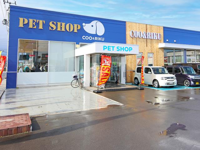 ペットショップCoo＆RIKU 弘前店