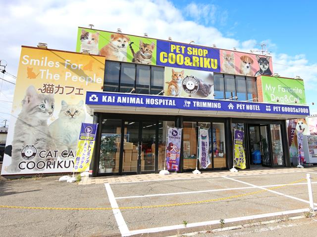 ペットショップCoo＆RIKU 秋田店