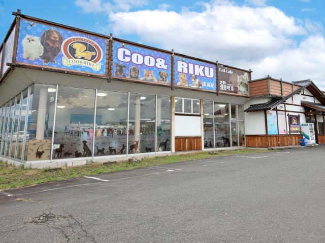 ペットショップCoo＆RIKU 岩手盛岡店