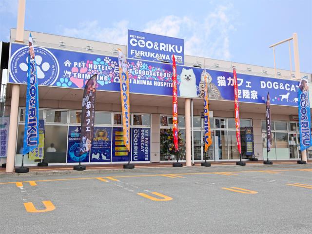 ペットショップCoo＆RIKU イオンタウン古川店