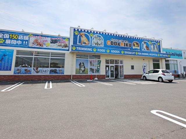 ペットショップCoo＆RIKU 石巻店