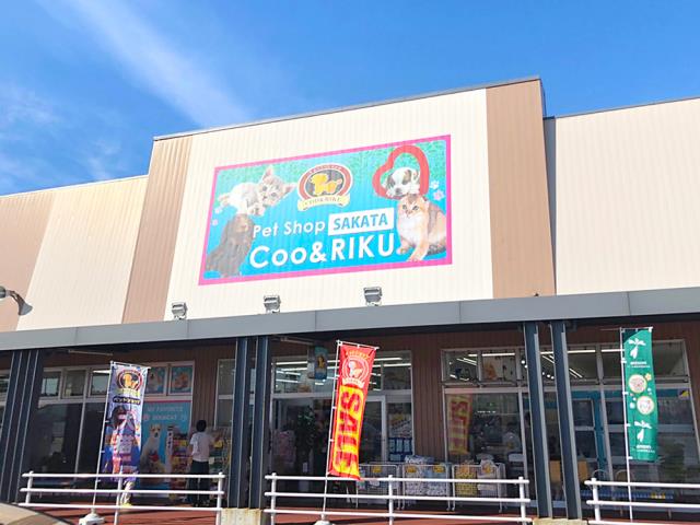 ペットショップCoo＆RIKU イオンタウン酒田店