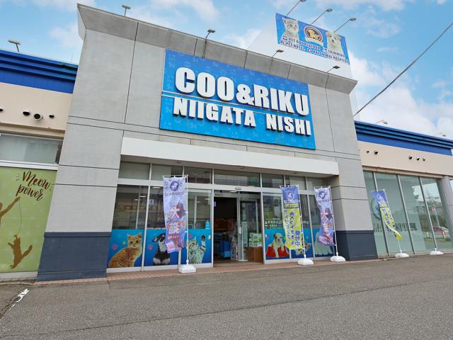 ペットショップCoo＆RIKU 新潟西店