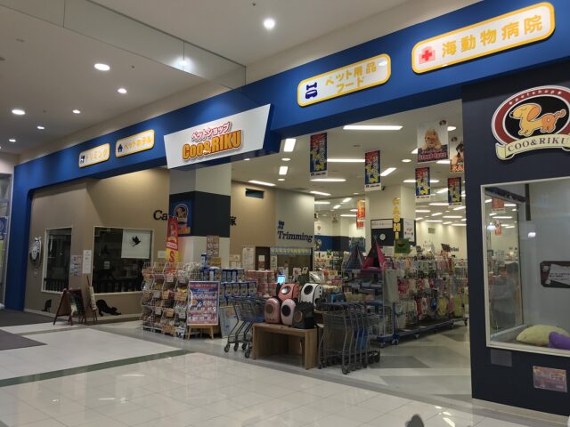 ペットショップCoo＆RIKU イオンモール新発田店
