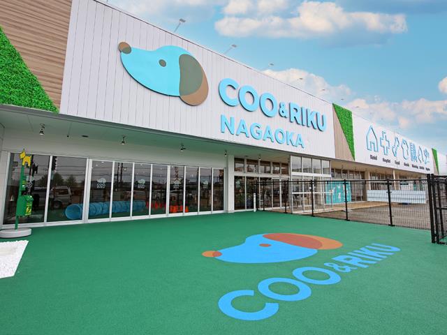 ペットショップCoo＆RIKU 長岡店