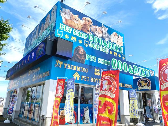 ペットショップCoo＆RIKU 上越店