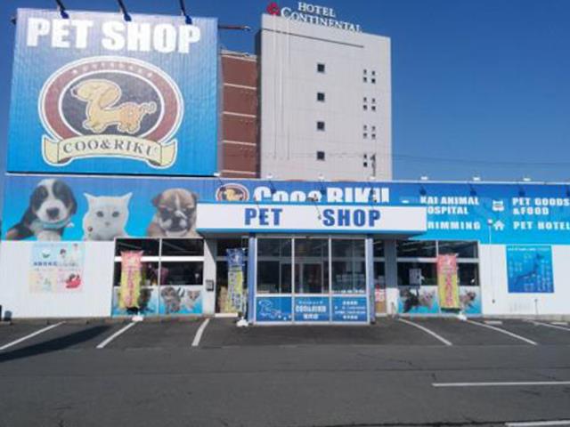 ペットショップCoo＆RIKU 福井店