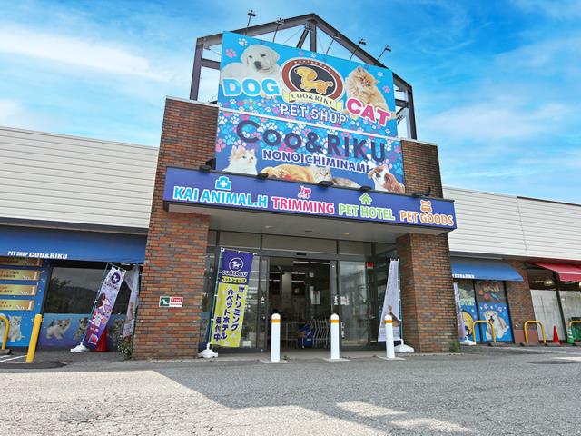 ペットショップCoo＆RIKU イオン野々市南店