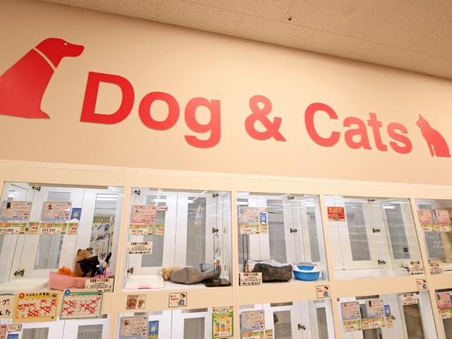 ペットショップCoo＆RIKU 綿半庄内店