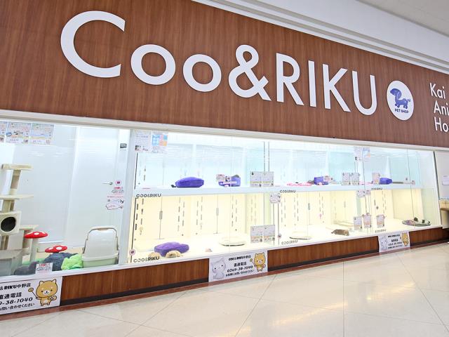 ペットショップCoo＆RIKU 綿半中野店