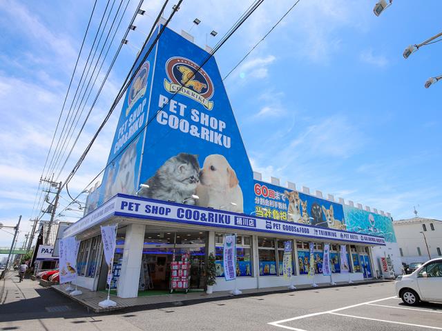 ペットショップCoo＆RIKU 桶川店