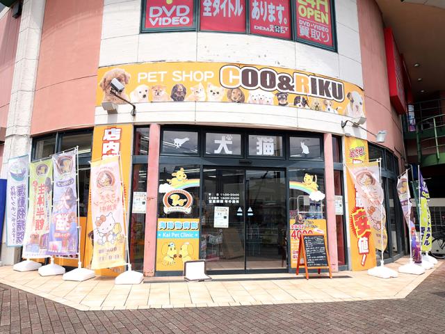 ペットショップCoo&RIKU パウ川崎店