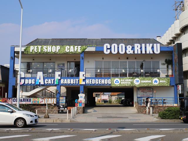 ペットショップCoo&RIKU 江の島店