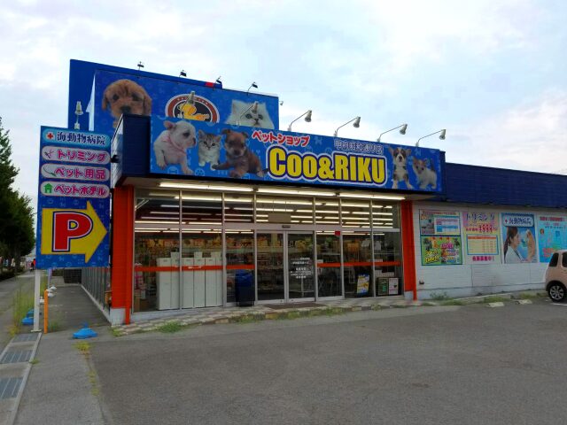 ペットショップCoo&RIKU 甲府昭和通り店