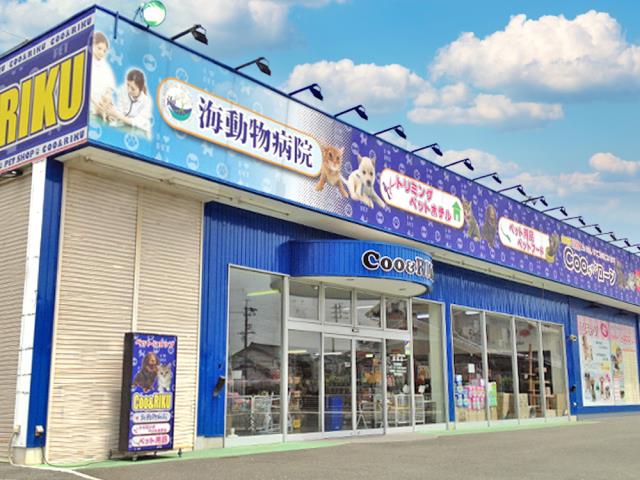 ペットショップCoo&RIKU 豊橋店