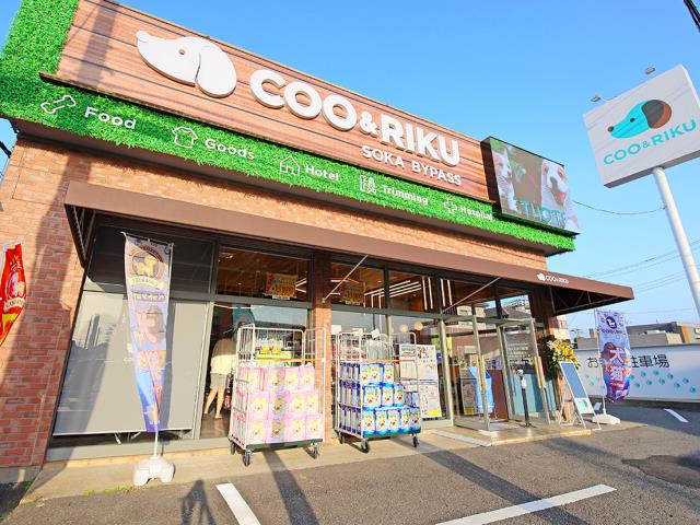 ペットショップCoo＆RIKU 草加バイパス店