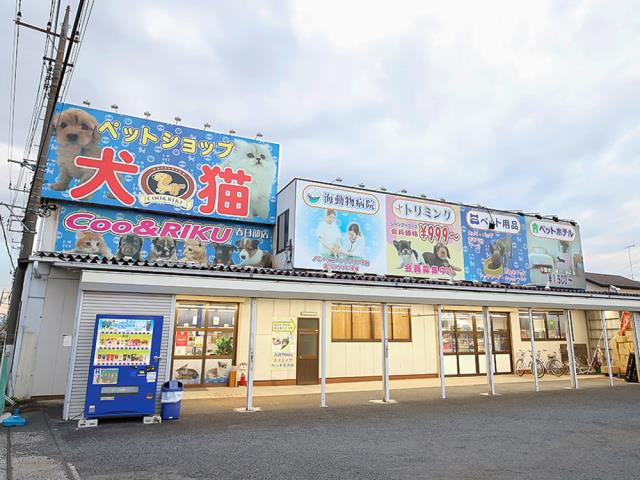 ペットショップCoo＆RIKU 春日部店