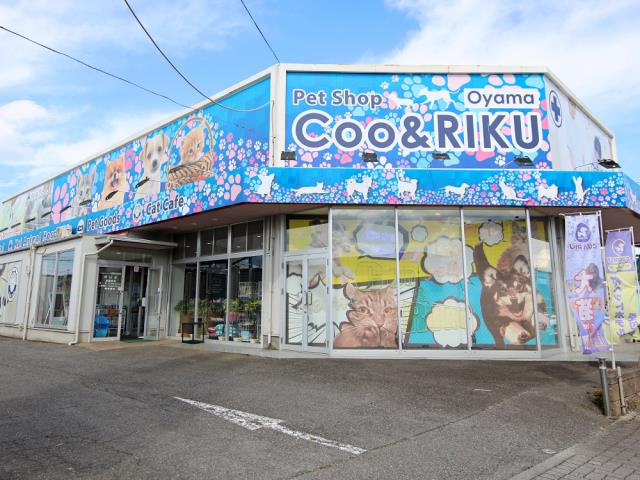 ペットショップCoo＆RIKU 小山店
