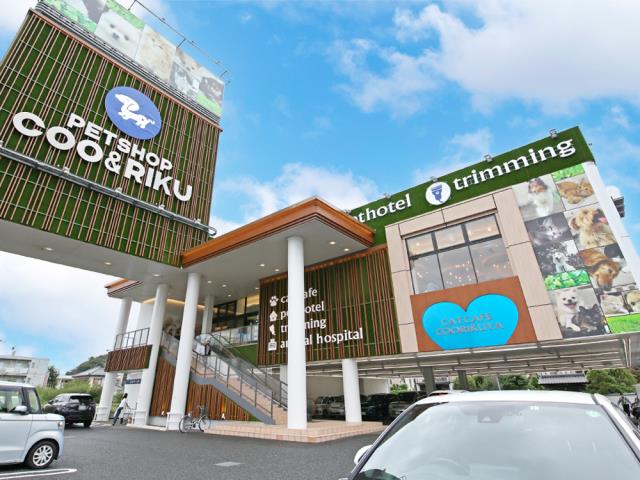 ペットショップCoo＆RIKU 南柏店