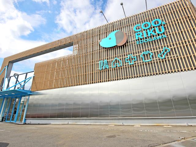 ペットショップCoo＆RIKU 江戸川店