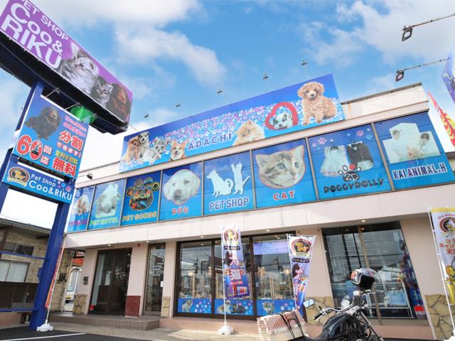 ペットショップCoo＆RIKU 足立本店