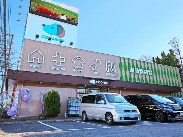 ペットショップCoo＆RIKU 市原店