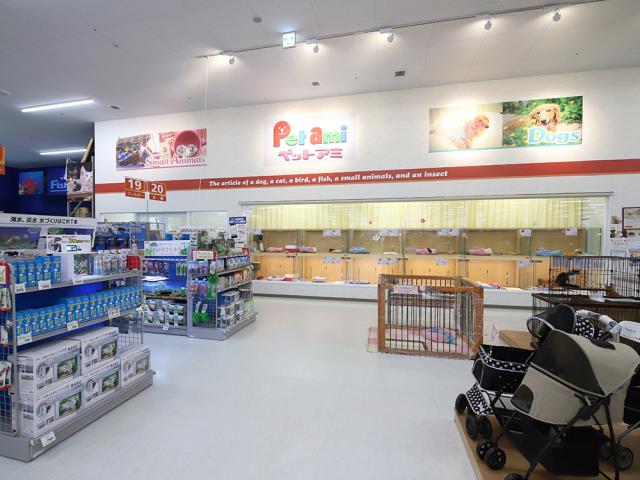 ペットショップCoo＆RIKU コメリパワー旭店