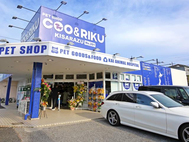ペットショップCoo＆RIKU 木更津店