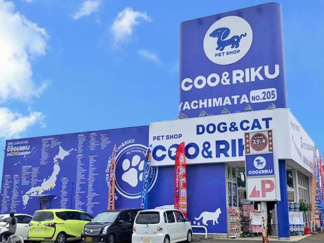 ペットショップCoo＆RIKU 八街店