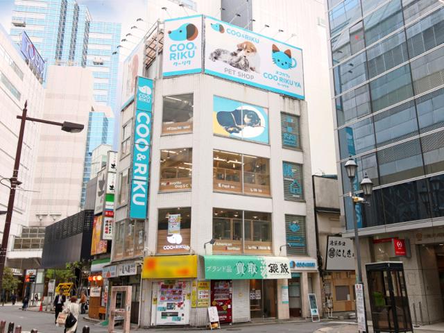 ペットショップCoo＆RIKU 池袋西口店