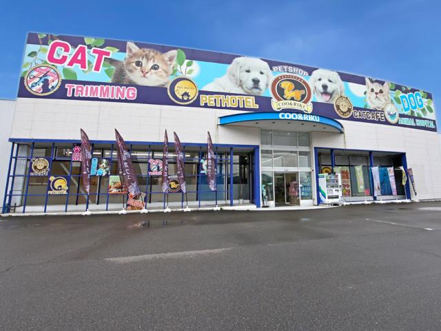 ペットショップCoo＆RIKU 東海一宮店