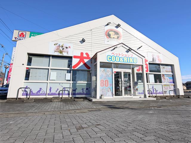 ペットショップCoo＆RIKU 各務原店