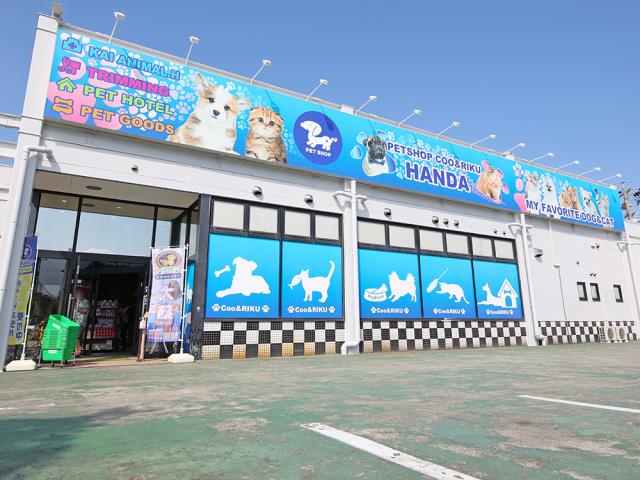 ペットショップCoo&RIKU 半田店