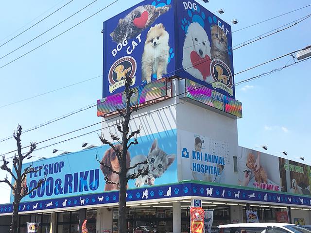 ペットショップCoo＆RIKU 名古屋滝ノ水店