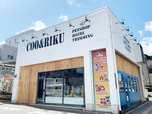 ペットショップCoo＆RIKU 城東古市店