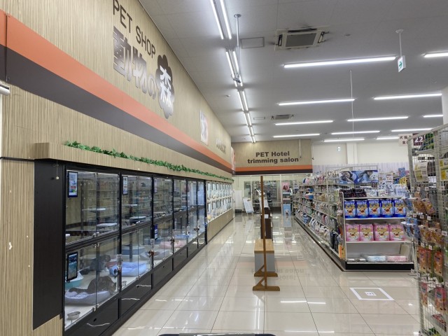 ペットショップCoo&RIKU 奈良富雄南店