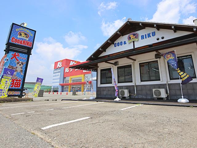 ペットショップCoo&RIKU 姫路店