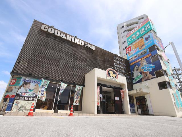 ペットショップCoo＆RIKU 沖縄浦添店
