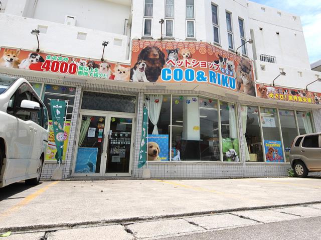 ペットショップCoo&RIKU 石垣店