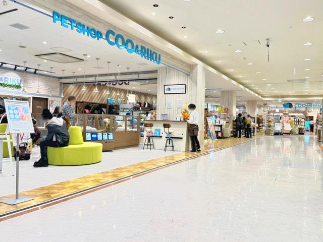 ペットショップCoo＆RIKU イオン北谷店